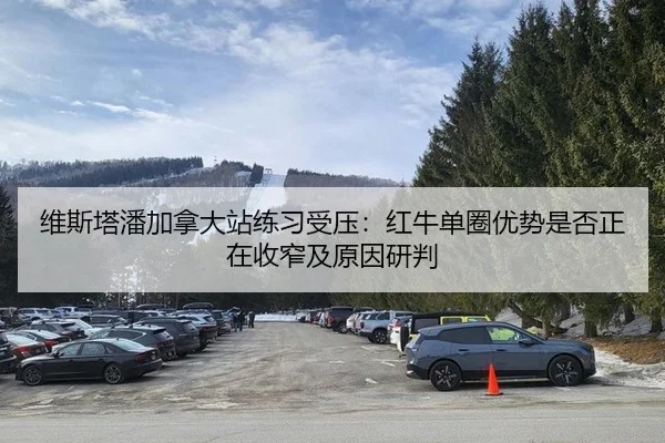 wei-si-ta-pan-jia-na-da-zhan-lian-xi-shou-ya-hong-niu-dan-quan-you-shi-shi-fou-zheng-zai-shou-zhai-ji-yuan-yin-yan-pan-2-310.jpg