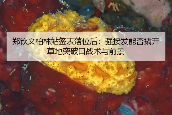 zheng-qin-wen-bo-lin-zhan-qian-biao-luo-wei-hou-qiang-jie-fa-neng-fou-qiao-kai-cao-di-tu-po-kou-zhan-shu-yu-qian-jing-2-445.jpg