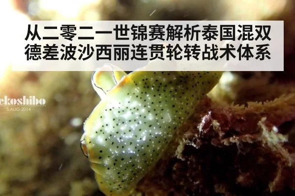 从二零二一世锦赛解析泰国混双德差波沙西丽连贯轮转战术体系